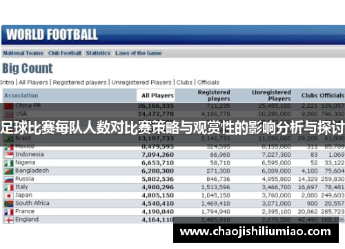 足球比赛每队人数对比赛策略与观赏性的影响分析与探讨